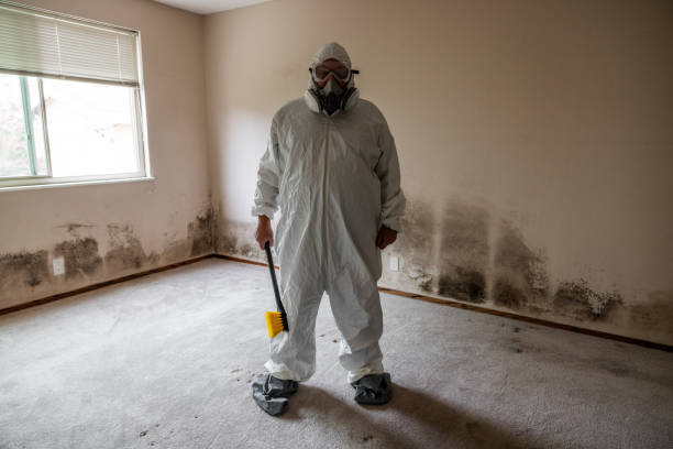 Best Kitchen Mold Remediation in North Crossett, AR